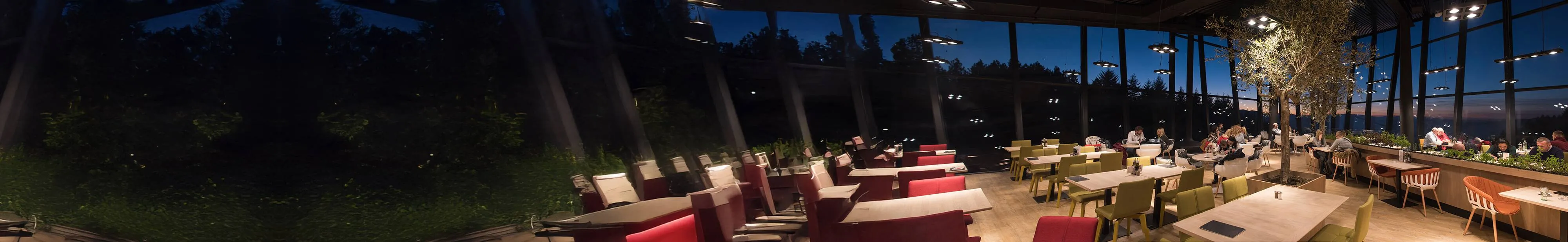 RMS Hospitality Group Banner